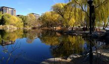 游览玉渊潭公园