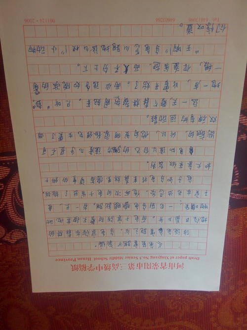 乌龟和野兔的新成分