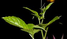 伸手是一种最美的生命姿态