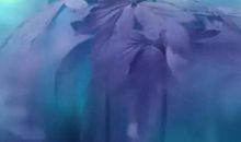 转身是一种生命的姿态