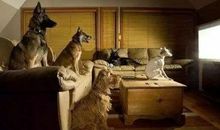 学习不是生搬硬套