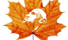 藏在心底的一片树叶