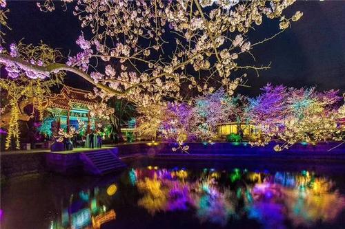 享受夜晚