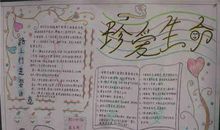 珍爱生命读后感