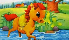 读《小马过河》有感