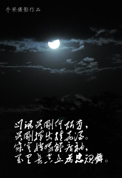 月光下的路径