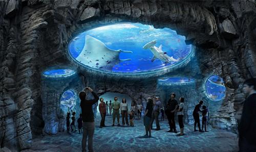 游水族馆