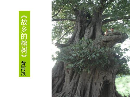 故乡悦榕庄