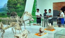 第一次参观地质博物馆