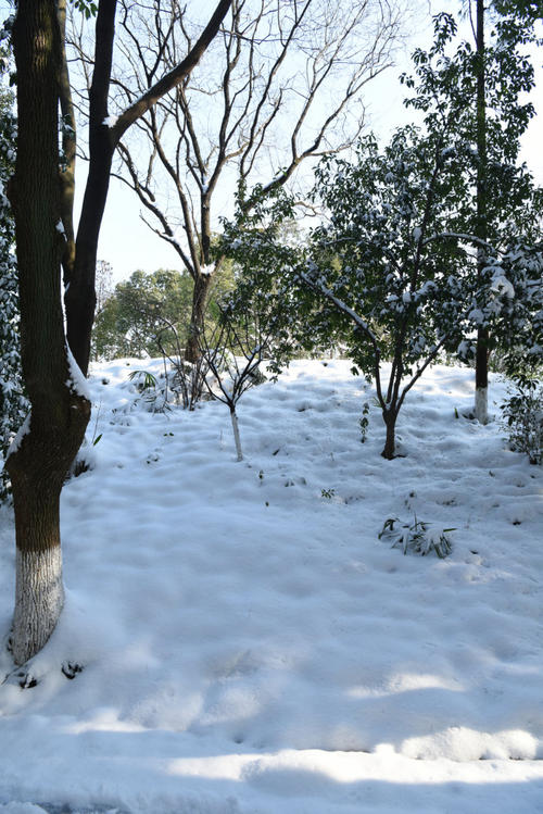 大雪