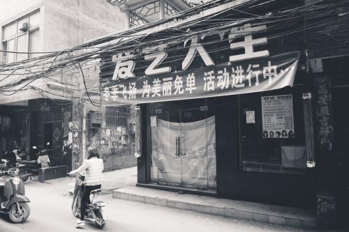 万物在冷风中的面孔