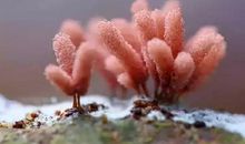 宽容与友谊，滋润了我的心田