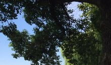 我的家乡－－西湖