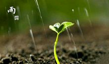 读《一粒种子》有感