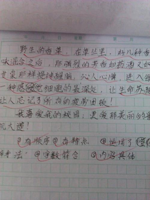 校园风光作文400字