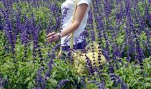 微笑让生活多姿多彩