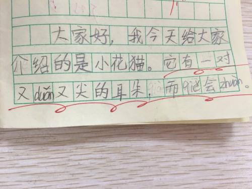 有趣的动物组成二年级