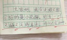 有趣的动物作文二年级