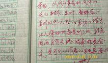 风景这边独好作文初二