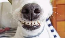 你还会微笑吗？