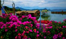 我的家乡景最美