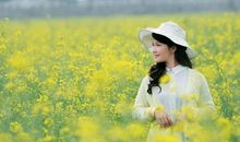 春天的味道在哪里