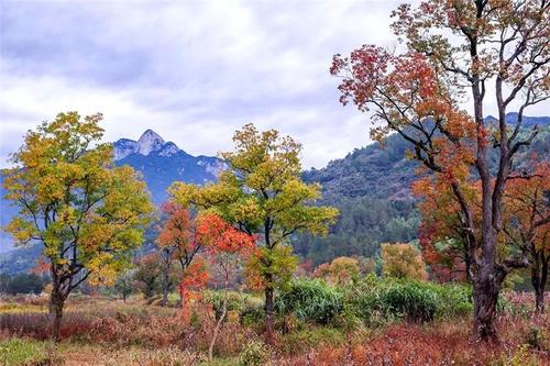 那童年的那座山
