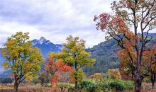 那段童年那座山