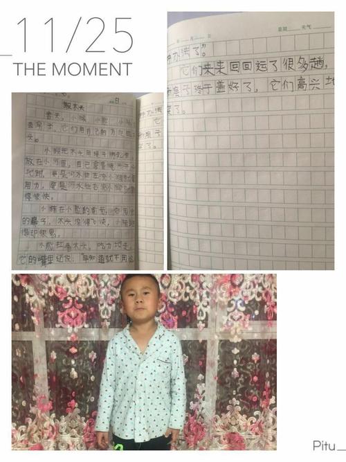 在木头运动比赛中看图片写词