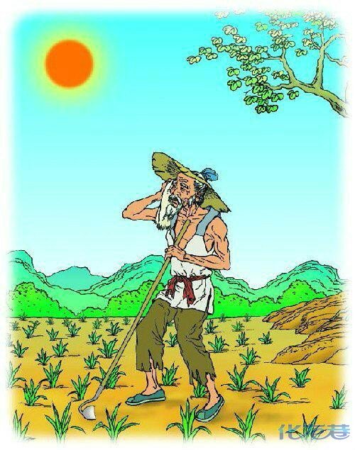 成长的起伏
