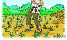 成长的酸甜苦辣