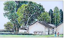 读书忆故乡，童年吐芬芳