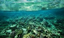 神秘而美丽的大海