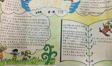 考试我不怕你读后感