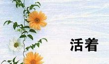 生命因承受而精彩