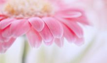 让我怎样感谢你