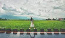 文具家族之游到稻田