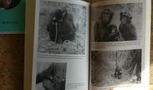 大地的窗口读后感