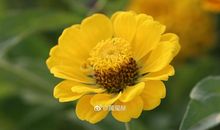 四季之美，陶醉你我