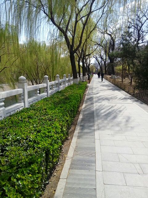 美丽的河滨公园