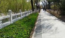 美丽的滨河公园