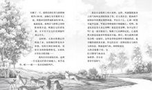 刀疤豺母读后感