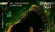 我发现了机械的秘密