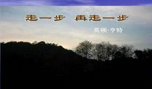 走一步再走一步