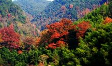 秋天的缤纷世界