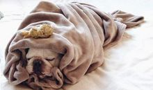 冬天让我想起她