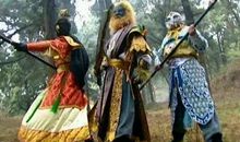 胆小如鼠的老鹰