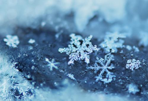 都是雪花造成的