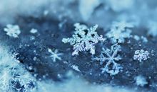 都是雪花惹的祸