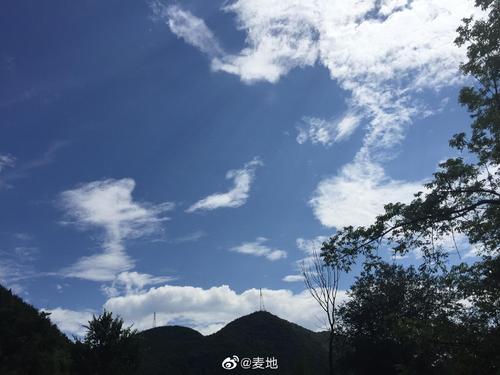 我只是怪我年轻